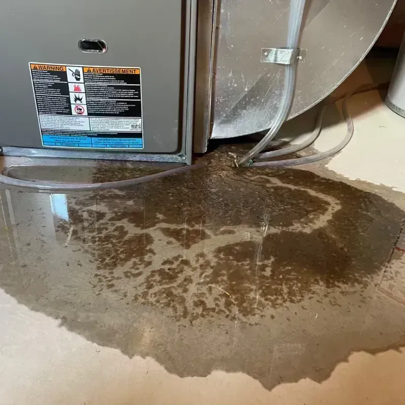 Appliance Leak Cleanup in Kirkwood, MO